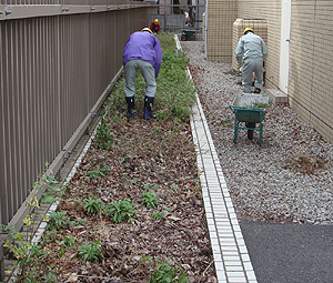 防草マサスペシャル施工前